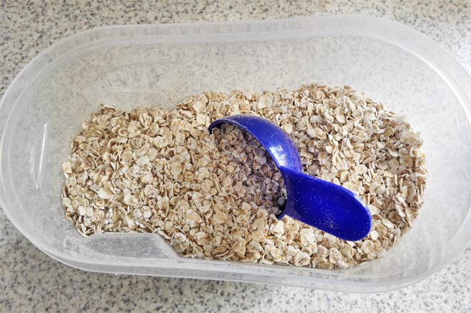 porridge oats