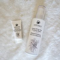 Fighting blemishes with Odylique: Lemon & Tea Tree Purifying Wash and Spot-on Serum Review Odylique Lemon & Tea Tree Purifying face wash and Spot-on serum