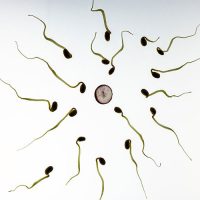 Trying to get pregnant? Follow these tips to help you increase your chances of conceiving sperm and egg