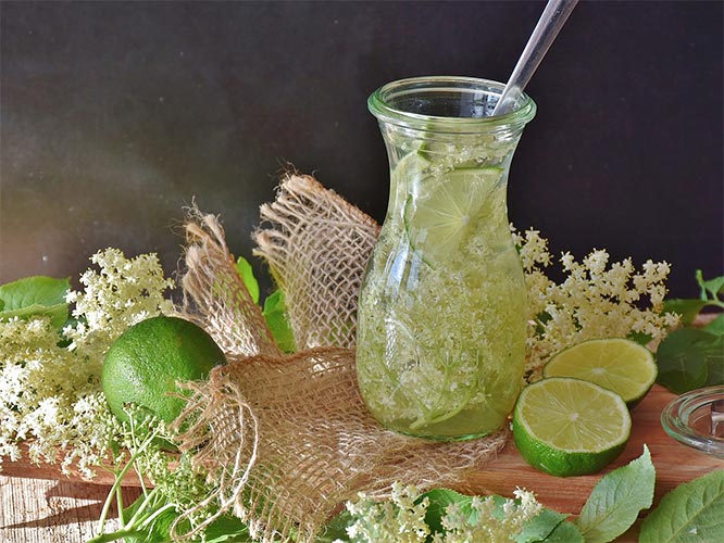 elder flowers for hayfever