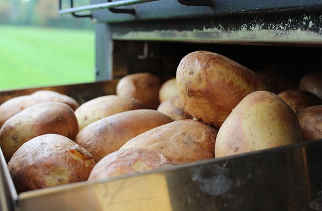 jacket potatoes