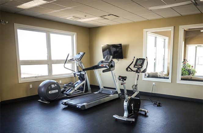 exercise bike and treadmill
