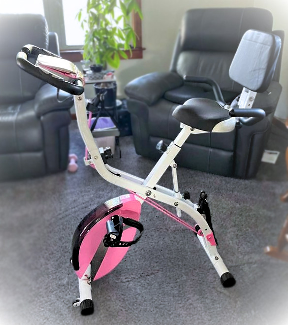 Pleny folding exercise bike