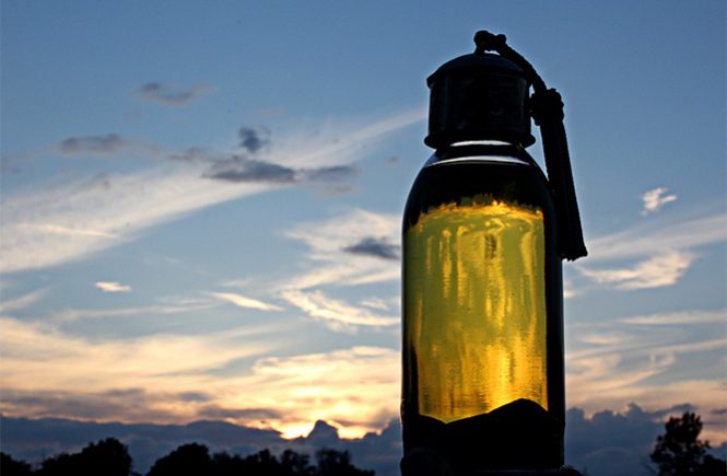 argan oil