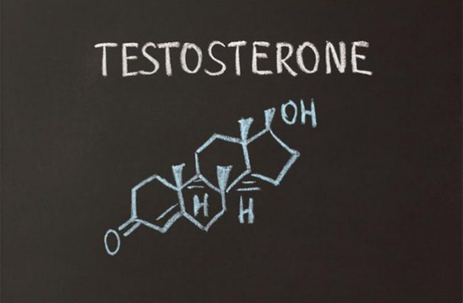 testosterone