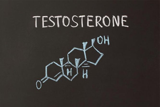 testosterone