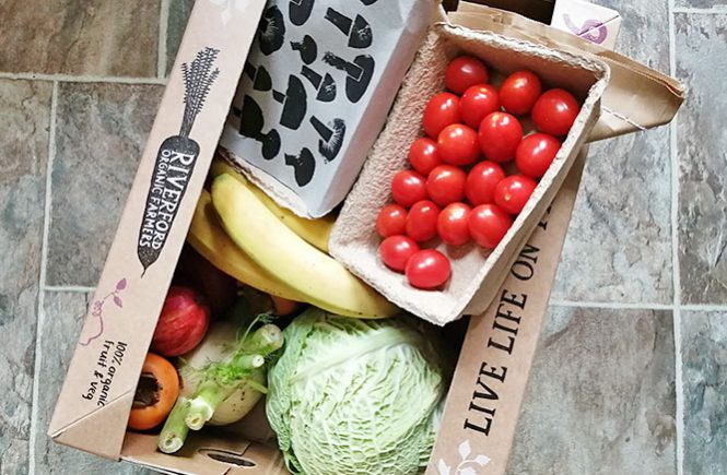 Riverford organic fruit and veg box (medium size)