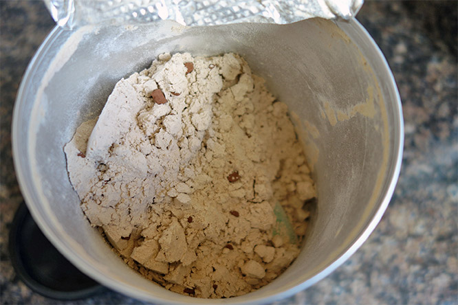 Vegan Wondershake