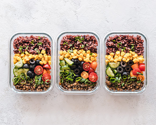 plant based diet