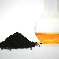 The Many Benefits of Black Seed Oil for Ears black seed oil