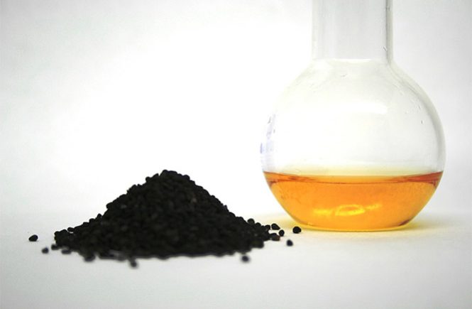 black seed oil