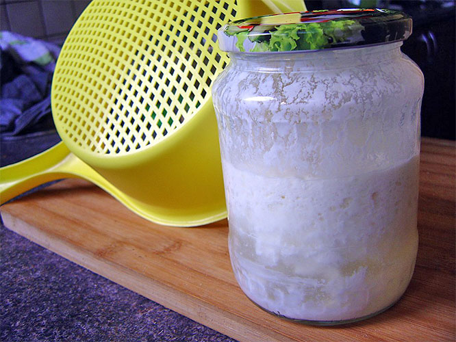 homemade kefir