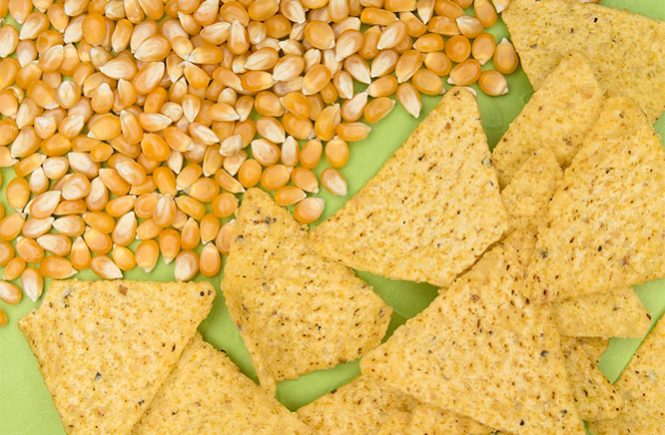 corn tortilla chips