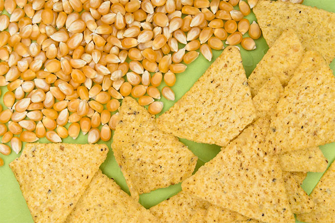 corn tortilla chips