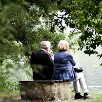 Empathy and Elderly Care: Providing Emotional Support for Seniors Empathy and Elderly Care: Providing Emotional Support for Seniors