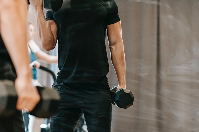 muscles