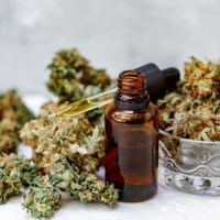 Prescribed Cannabis Oil vs. Vaping Medical Cannabis Flower: What's Best for You? Prescribed Cannabis Oil vs. Vaping Medical Cannabis Flower: What's Best for You?