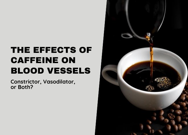 The Effects of Caffeine on Blood Vessels