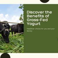 Grass-Fed Yogurt Benefits: Why It’s Healthier, Better, and Worth the Hype Grass-Fed Yogurt Benefits: Why It’s Healthier, Better, and Worth the Hype