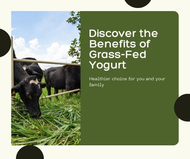 benefits of grass-fed yogurt