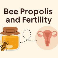 Bee Propolis and Fertility: Can It Really Help You Conceive? Bee Propolis and Fertility: Can It Really Help You Conceive?
